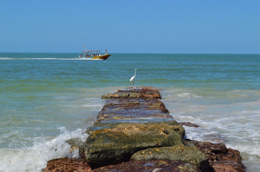 Isla holbox