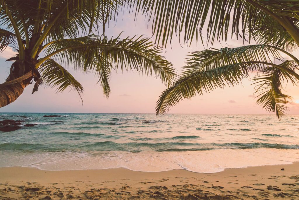 beaches