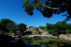 cenotes de tulum