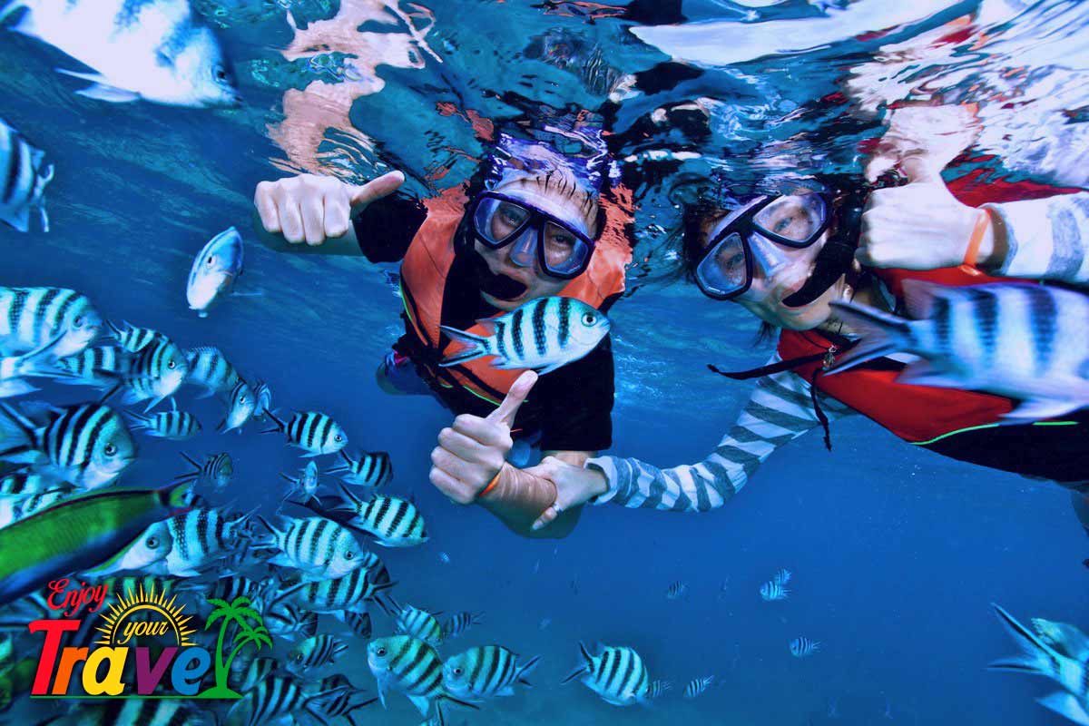 disfruta del buceo en playa delfines