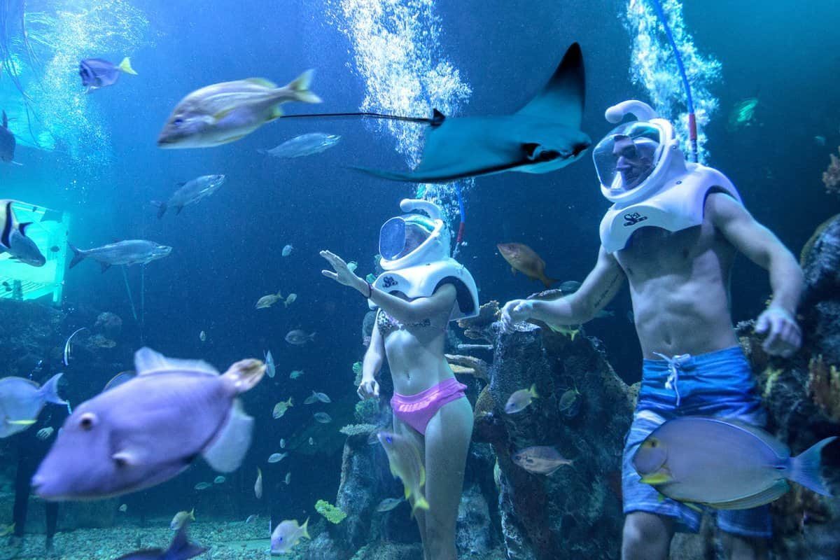 actividades familiares en Cancún 3