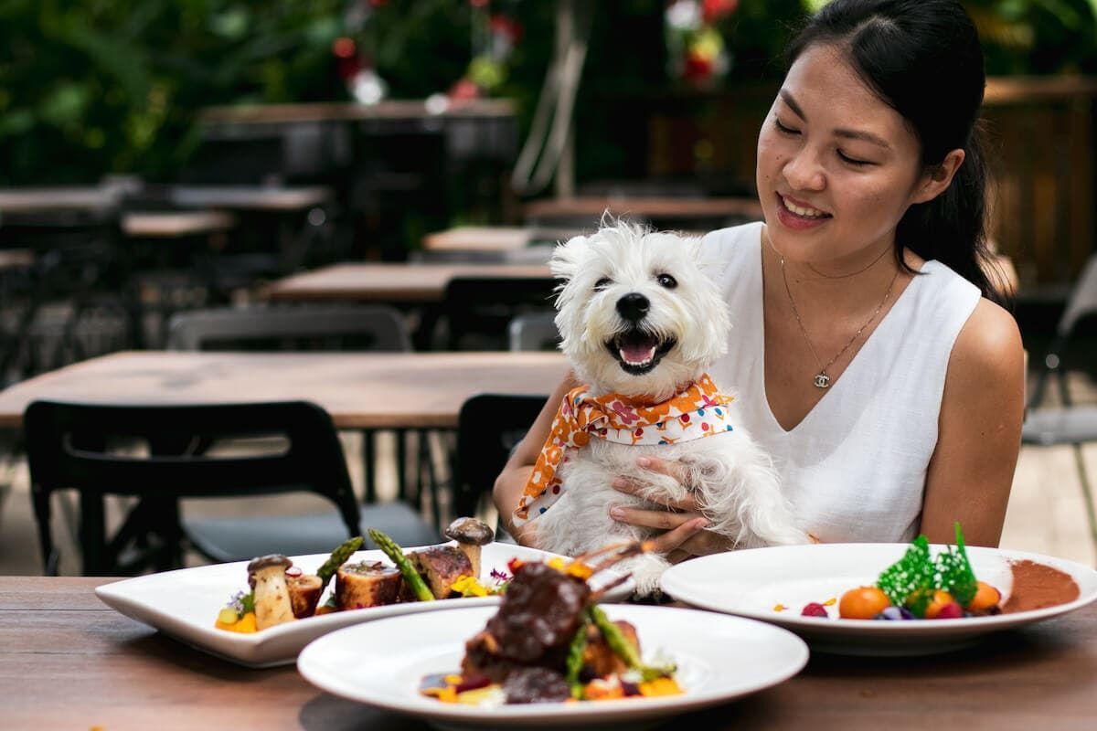 pet friendly en Cancún
